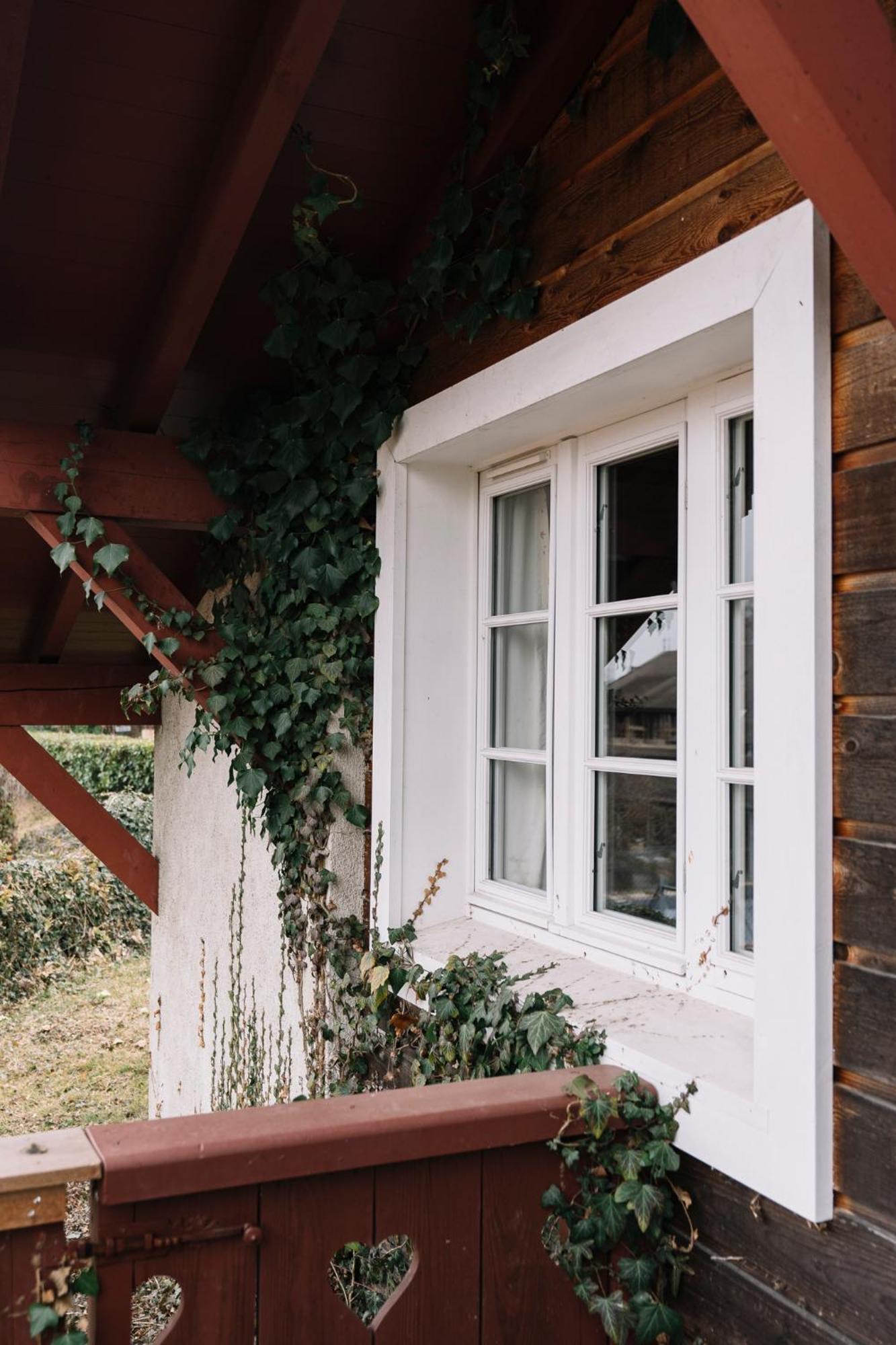 La Verniaz Et Ses Chalets Evian-les-Bains Ngoại thất bức ảnh